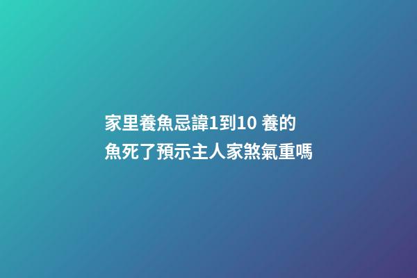 家里養魚忌諱1到10 養的魚死了預示主人家煞氣重嗎